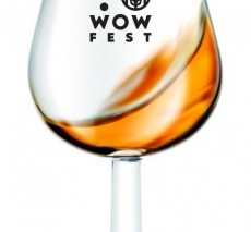 Kieliszek WOW Craft Fest